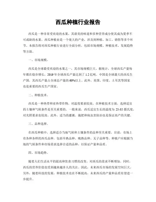 西瓜种植行业报告
