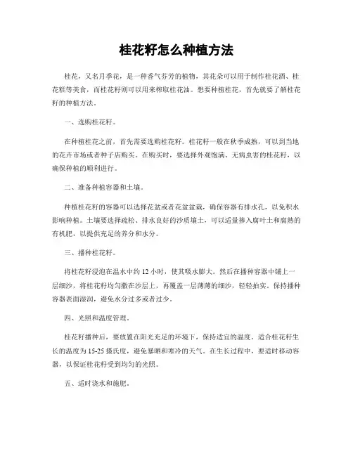 桂花籽怎么种植方法