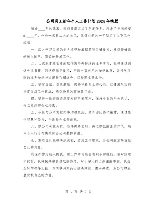 公司员工新年个人工作计划2024年模版（三篇）