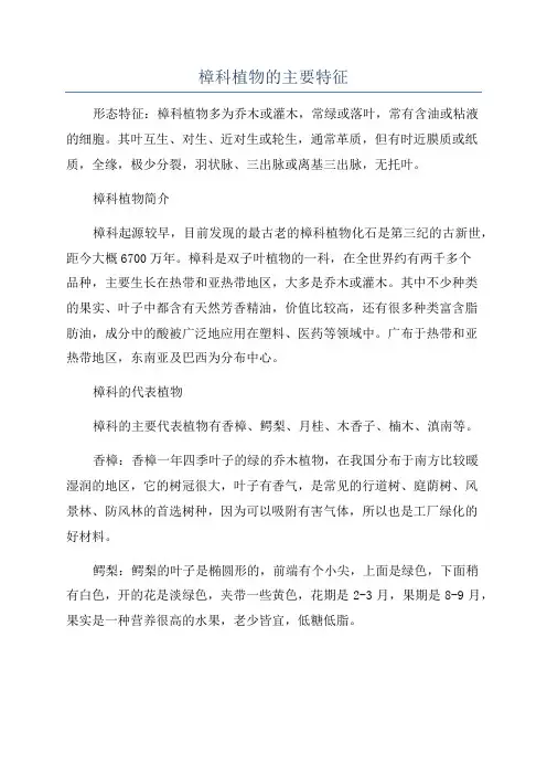 樟科植物的主要特征