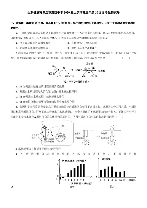 山东省济南章丘市第四中学2020届上学期高三年级10月月考生物试卷