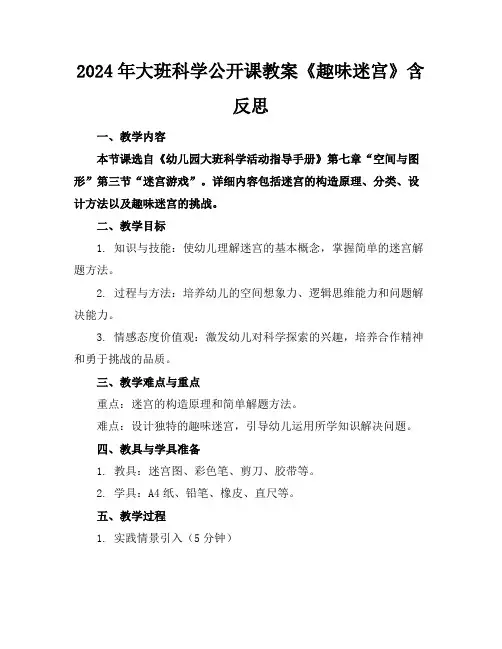 2024年大班科学公开课教案《趣味迷宫》含反思