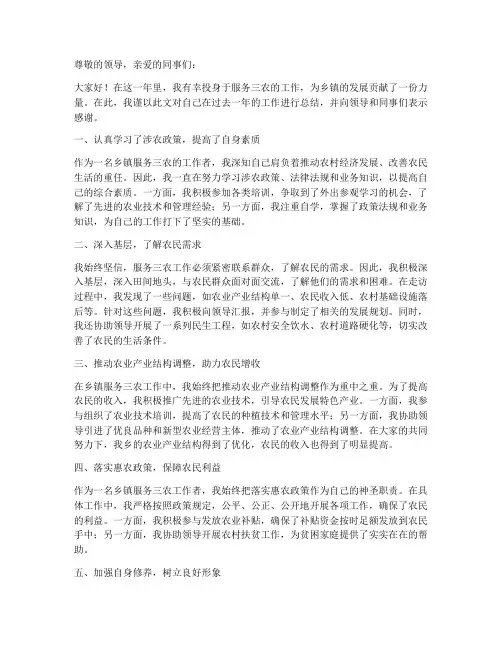 乡镇服务三农个人工作总结