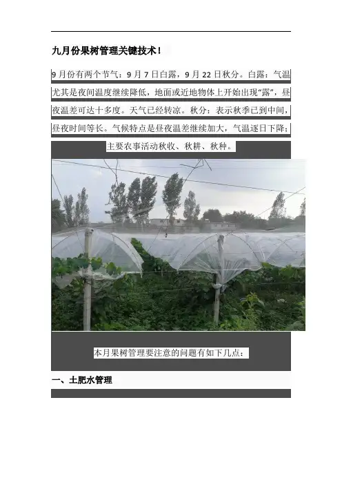 九月份果树管理关键技术