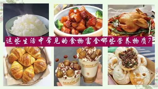 细胞中的糖类和脂质ppt课件