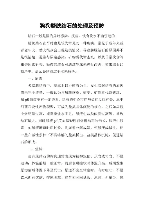 狗狗膀胱结石的处理及预防