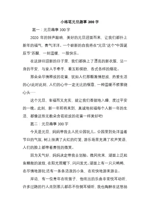 小练笔元旦趣事300字