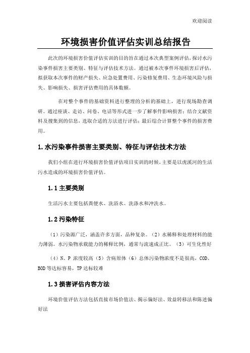 环境损害价值评估报告书