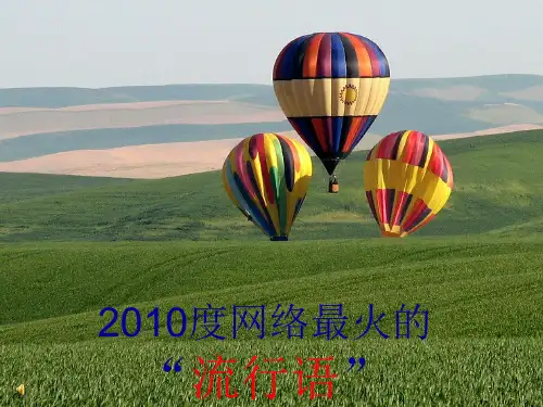 2010年度网络最火的流行语