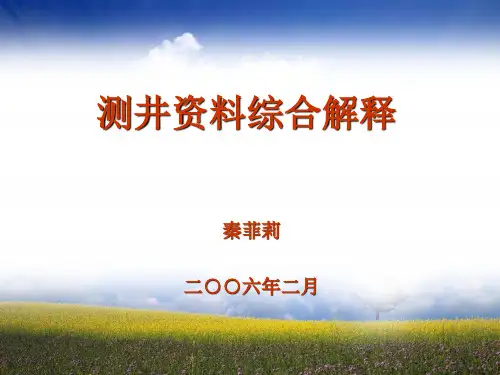 测井资料解释