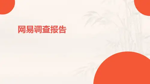 网易调查报告