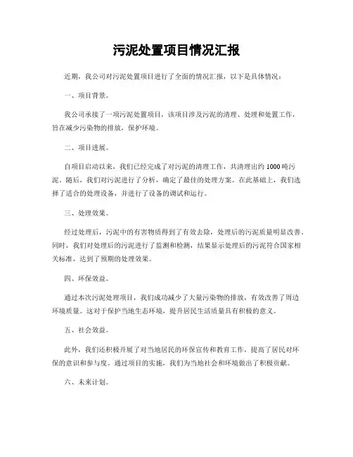 污泥处置项目情况汇报