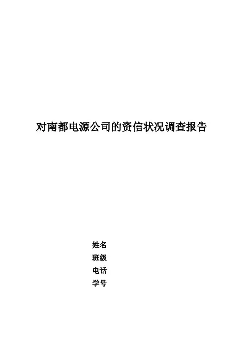 对某电源公司资信状况的调查报告