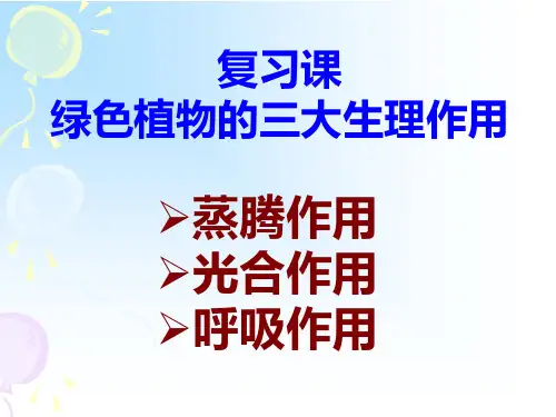 植物的三大生理作用复习