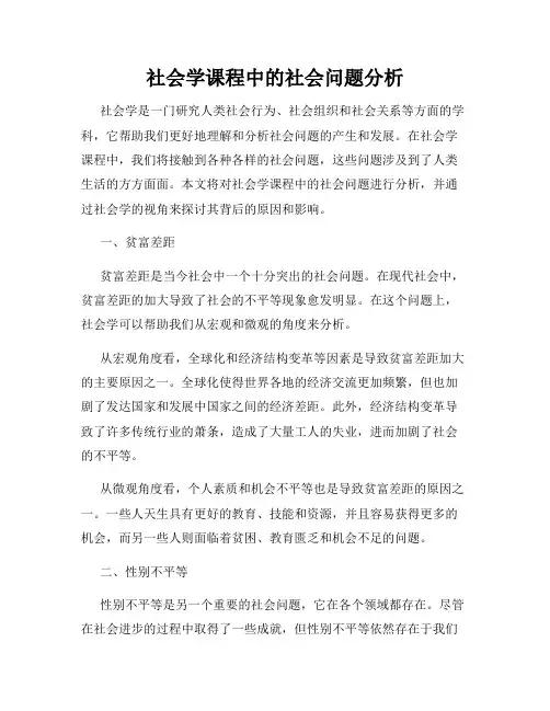 社会学课程中的社会问题分析