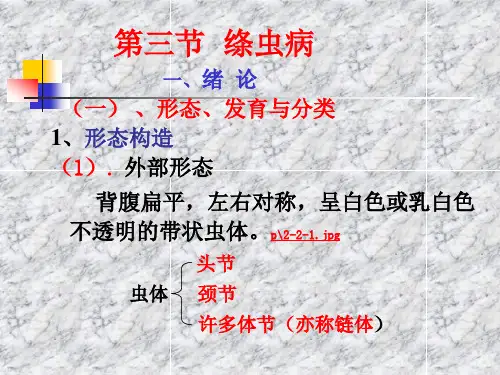 第三章  动物蠕虫病学-绦虫