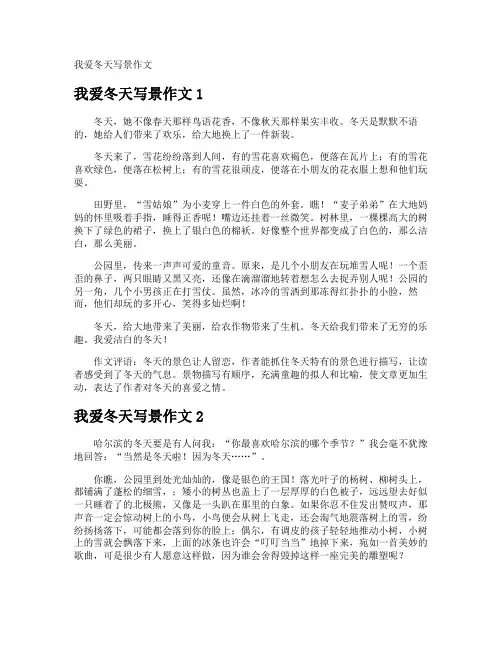 我爱冬天写景作文