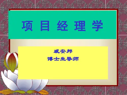 项目经理学