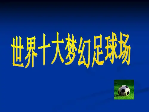 世界十大足球场