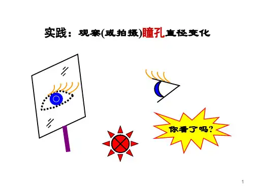 医学课件视觉神经生理学