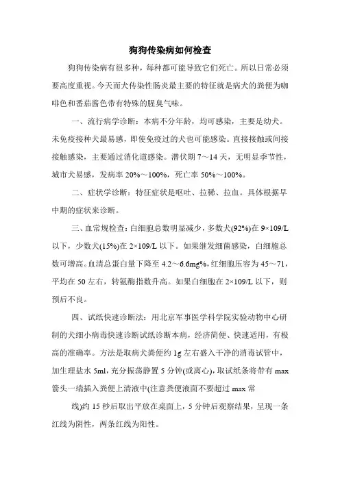 狗狗传染病如何检查