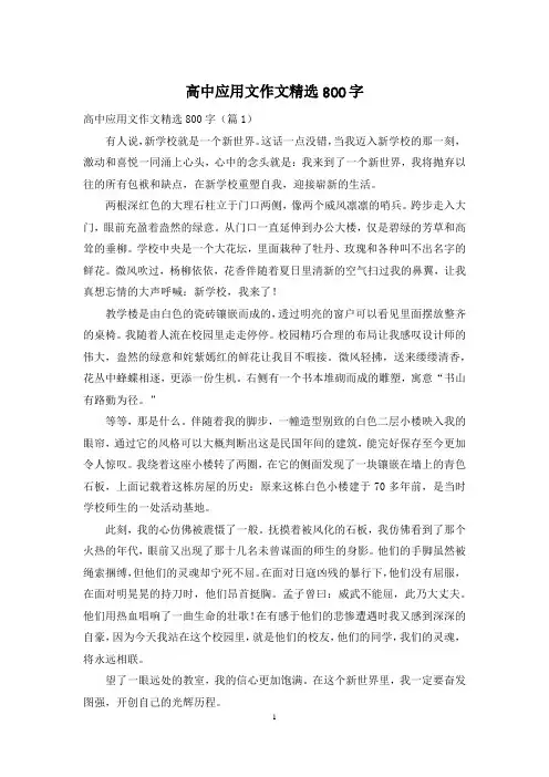 高中应用文作文精选800字