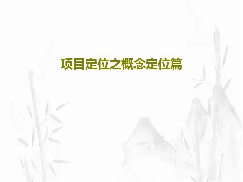 项目定位之概念定位篇61页PPT