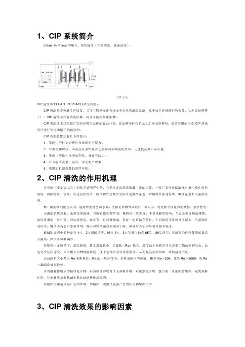 CIP清洗系统