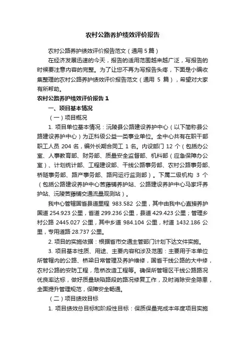 农村公路养护绩效评价报告范文（通用5篇）