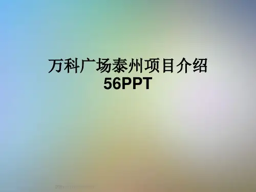 万科广场泰州项目介绍56PPT