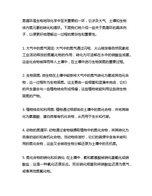 提供一些关于氮循环的具体例子。