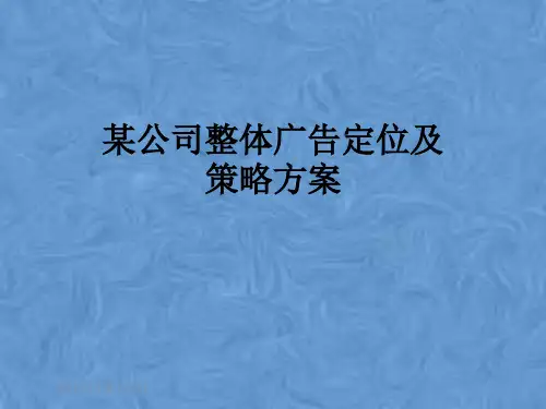 某公司整体广告定位及策略方案