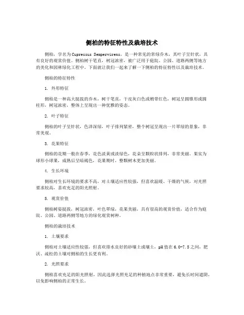 侧柏的特征特性及栽培技术