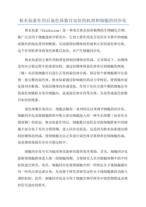秋水仙素作用后染色体数目加倍的机理和细胞的同步化