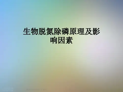 生物脱氮除磷原理及影响因素