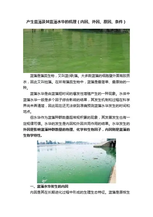 产生蓝藻及其蓝藻水华的机理（内因、外因、原因、条件）