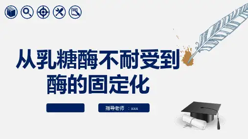 从乳糖酶不耐受到酶的固定化
