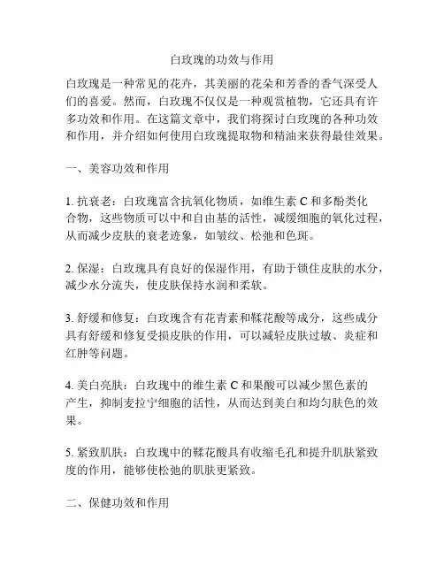 白玫瑰的功效与作用
