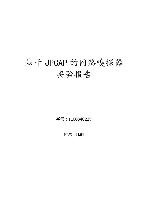 嗅探器实验报告