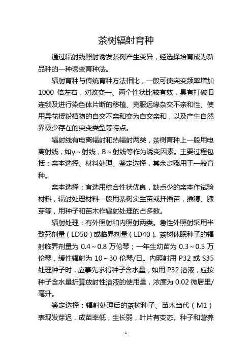 茶树辐射育种