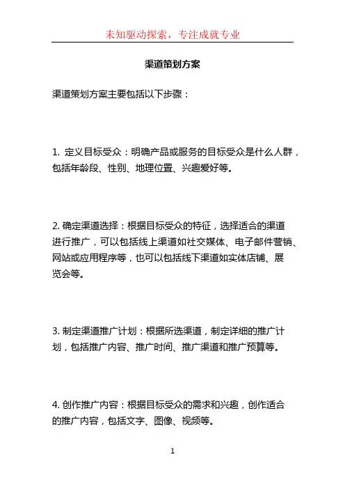 渠道策划方案 (2)