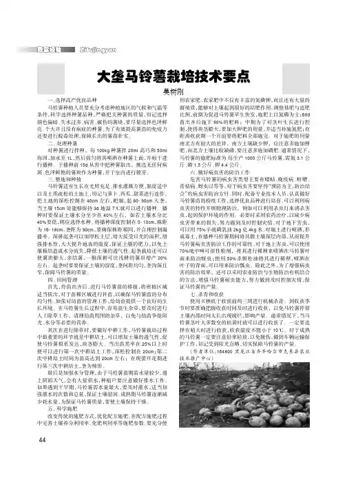 大垄马铃薯栽培技术要点
