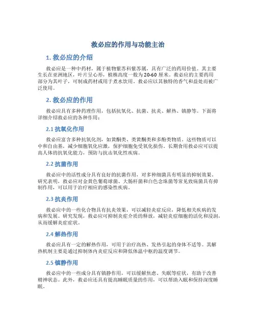 救必应的作用与功能主治