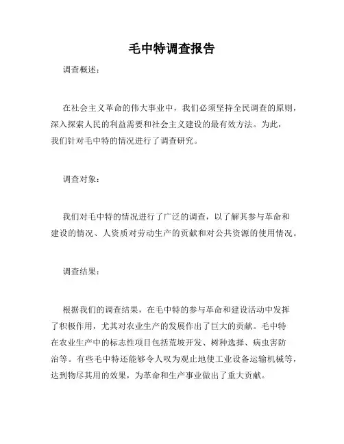 毛中特调查报告