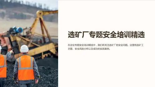 (选矿厂)专题安全培训精选