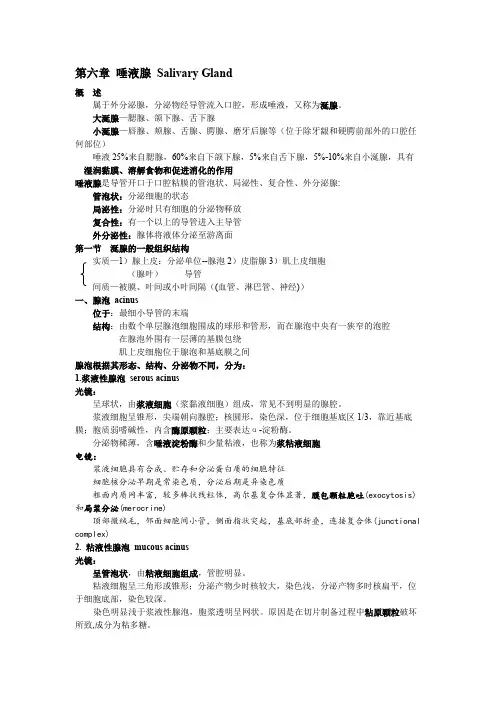 第六章 唾液腺 Salivary Gland