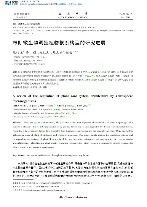 根际微生物调控植物根系构型的研究进展_陈伟立