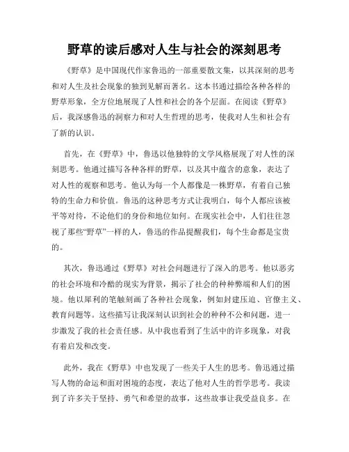 野草的读后感对人生与社会的深刻思考