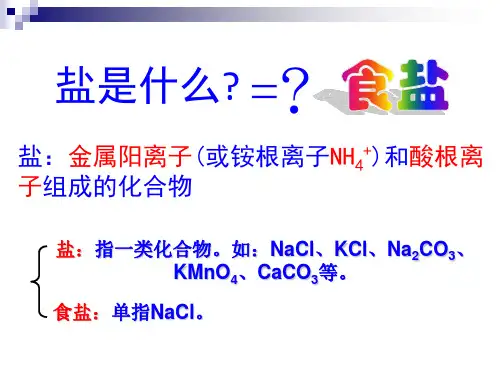 7-3几种常见的盐3