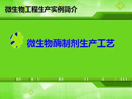 发酵工程微生物酶制剂生产工艺